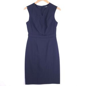 The Limited Navy Long Sleeve Dress